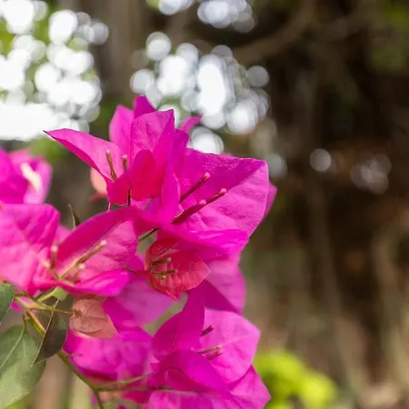 Apartamento A 15 Minutos Do Guincho