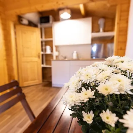 Appartement A 15 Minutos Do Guincho *